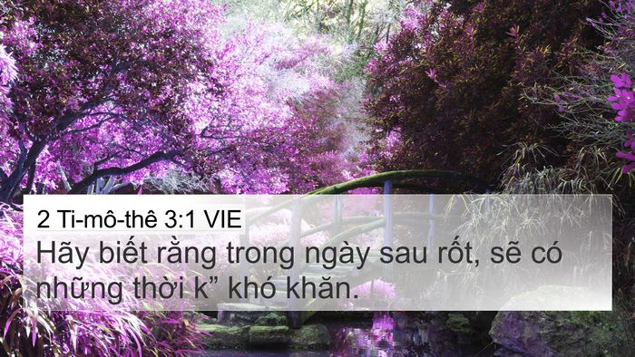 2 Ti-mô-thê 3:1 VIE Bible Verse Image