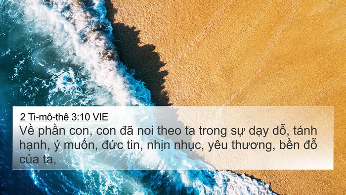 2 Ti-mô-thê 3:10 VIE Bible Verse Image