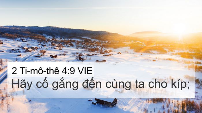 2 Ti-mô-thê 4:9 VIE Bible Verse Image