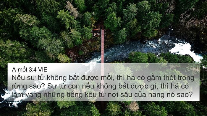 A-mốt 3:4 VIE Bible Verse Image
