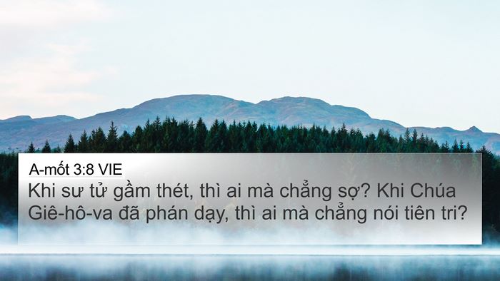 A-mốt 3:8 VIE Bible Verse Image