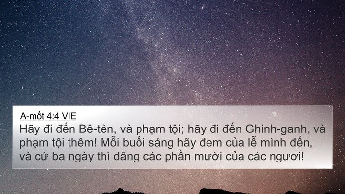 A-mốt 4:4 VIE Bible Verse Image