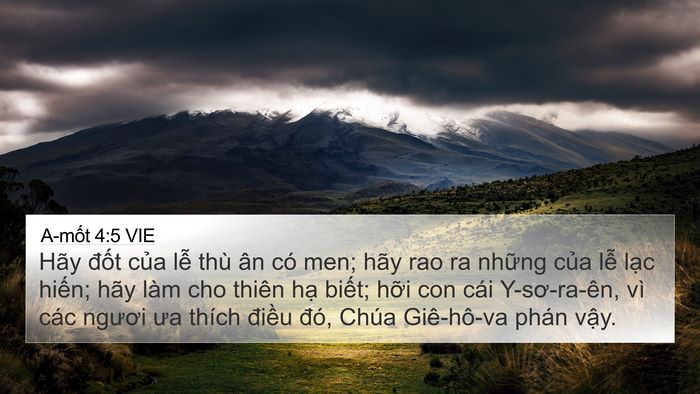 A-mốt 4:5 VIE Bible Verse Image