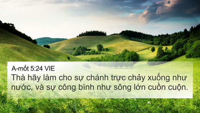 A-mốt 5:24 VIE Bible Verse Image