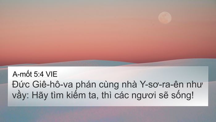 A-mốt 5:4 VIE Bible Verse Image