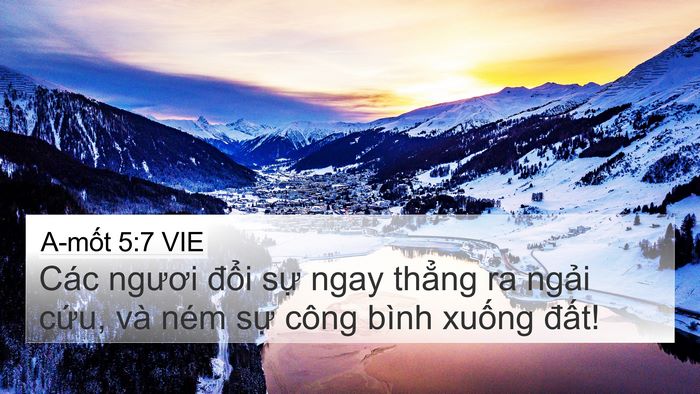 A-mốt 5:7 VIE Bible Verse Image