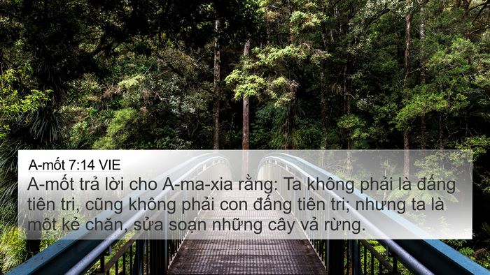 A-mốt 7:14 VIE Bible Verse Image
