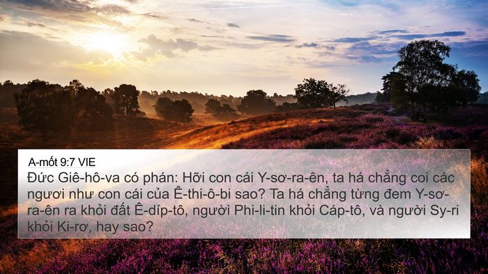 A-mốt 9:7 VIE Bible Verse Image