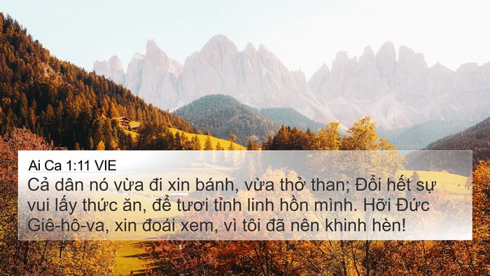 Ai Ca 1:11 VIE Bible Verse Image