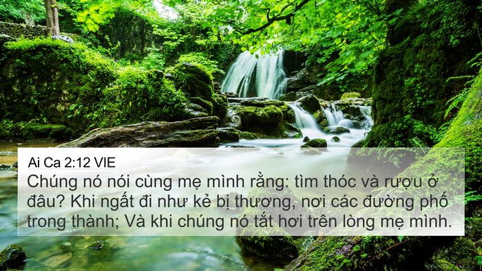 Ai Ca 2:12 VIE Bible Verse Image