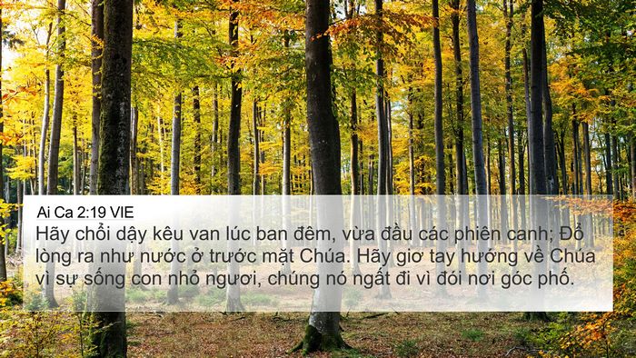 Ai Ca 2:19 VIE Bible Verse Image