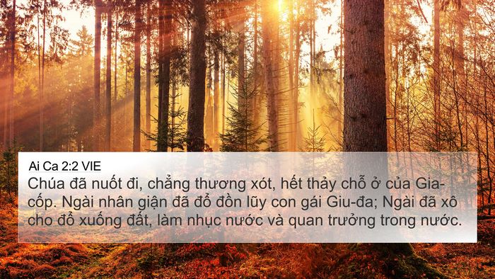 Ai Ca 2:2 VIE Bible Verse Image