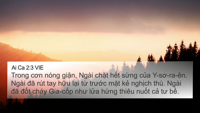 Ai Ca 2:3 VIE Bible Verse Image