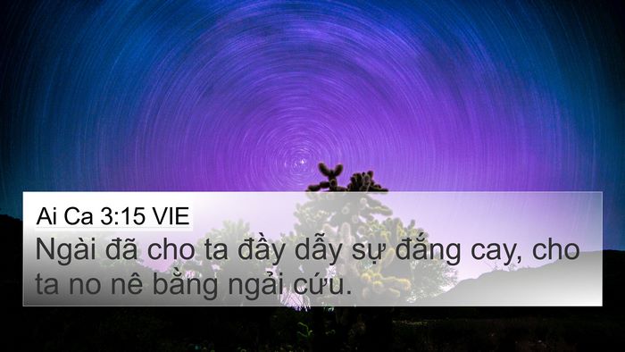 Ai Ca 3:15 VIE Bible Verse Image