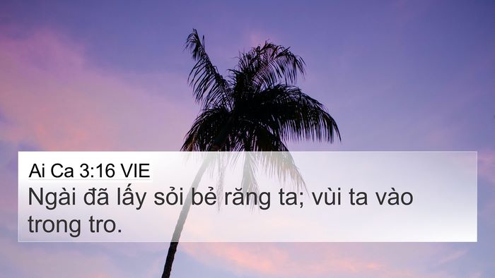 Ai Ca 3:16 VIE 4K Wallpaper - Ngài đã lấy sỏi bẻ răng ta; vùi ta - 4K Wallpaper Bible Verse