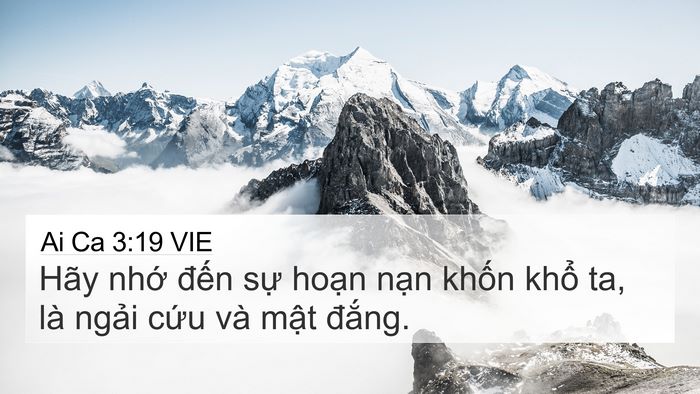 Ai Ca 3:19 VIE Bible Verse Image