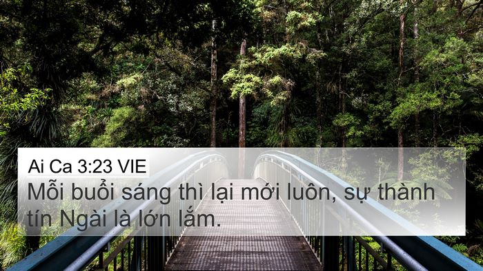 Ai Ca 3:23 VIE Bible Verse Image