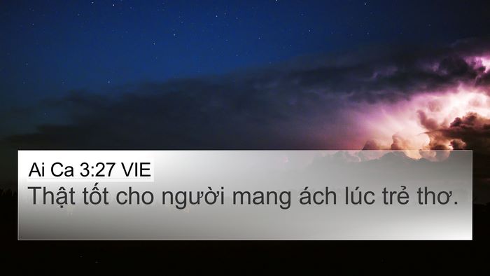 Ai Ca 3:27 VIE Bible Verse Image