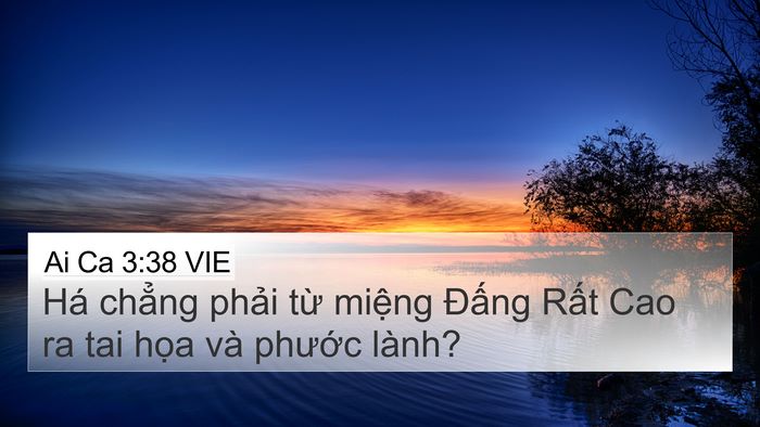 Ai Ca 3:38 VIE Bible Verse Image