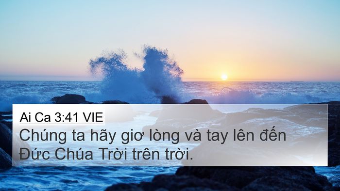Ai Ca 3:41 VIE Bible Verse Image