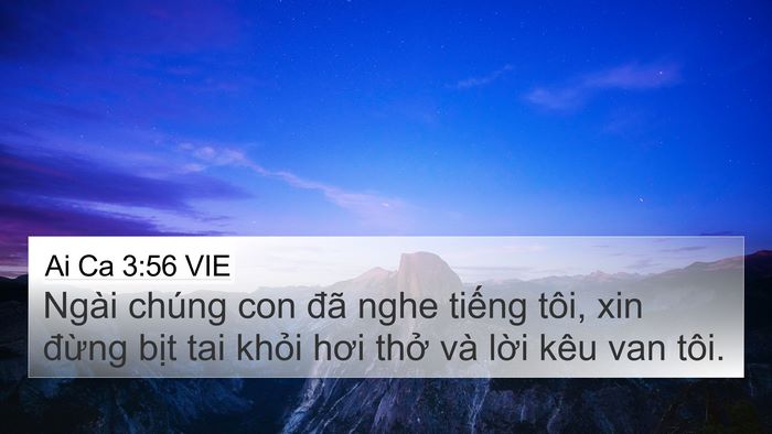 Ai Ca 3:56 VIE 4K Wallpaper - Ngài chúng con đã nghe tiếng tôi, xin - 4K Wallpaper Bible Verse
