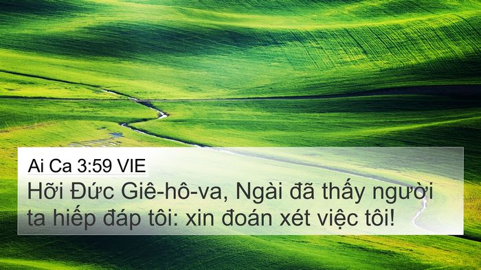 Ai Ca 3:59 VIE 4K Wallpaper - Hỡi Đức Giê-hô-va, Ngài đã thấy - 4K Wallpaper Bible Verse