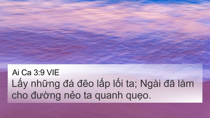Ai Ca 3:9 VIE Bible Verse Image