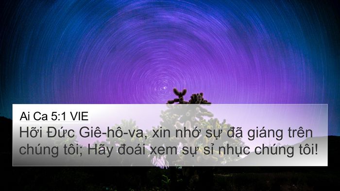 Ai Ca 5:1 VIE Bible Verse Image