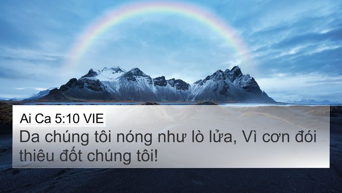 Ai Ca 5:10 VIE Bible Verse Image