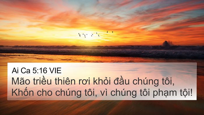 Ai Ca 5:16 VIE Bible Verse Image