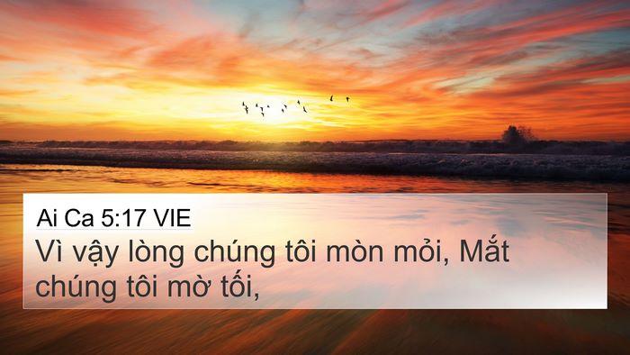 Ai Ca 5:17 VIE Bible Verse Image