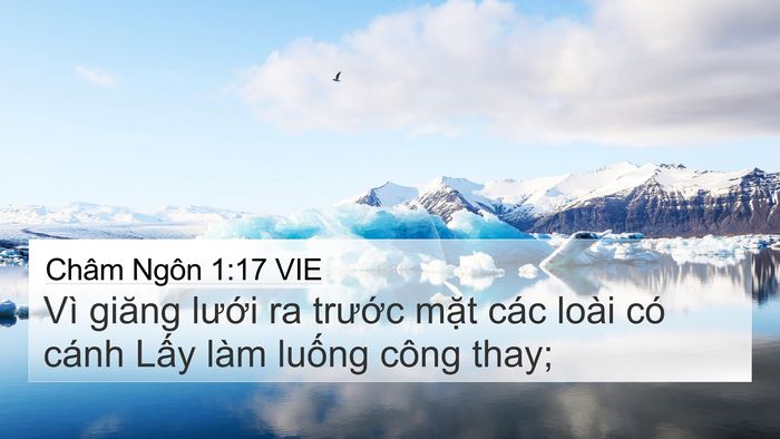 Châm Ngôn 1:17 VIE Bible Verse Image