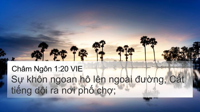 Châm Ngôn 1:20 VIE Bible Verse Image