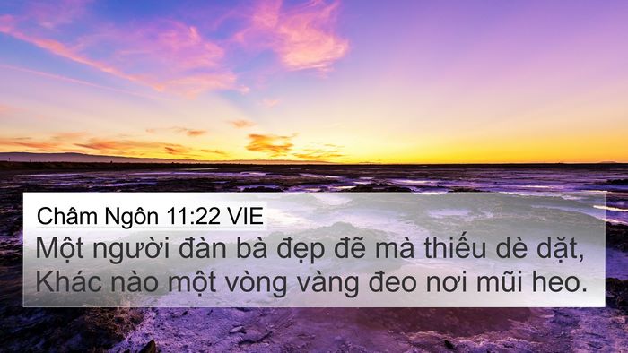 Châm Ngôn 11:22 VIE Bible Verse Image