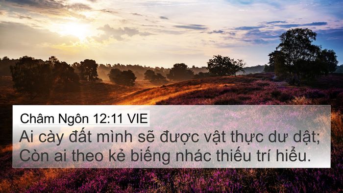 Châm Ngôn 12:11 VIE Bible Verse Image