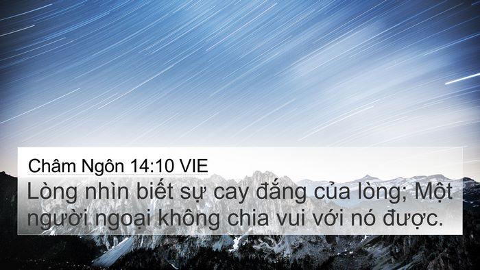 Châm Ngôn 14:10 VIE Bible Verse Image