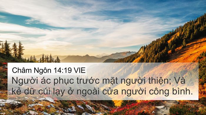 Châm Ngôn 14:19 VIE 4K Wallpaper - Người ác phục trước mặt người - 4K Wallpaper Bible Verse