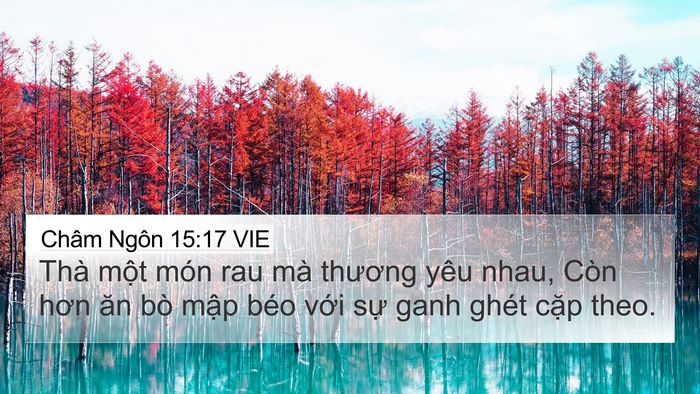 Châm Ngôn 15:17 VIE 4K Wallpaper - Thà một món rau mà thương yêu nhau, Còn - 4K Wallpaper Bible Verse