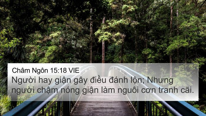 Châm Ngôn 15:18 VIE Bible Verse Image