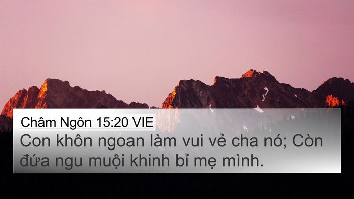 Châm Ngôn 15:20 VIE Bible Verse Image