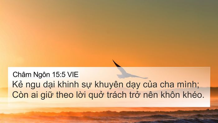 Châm Ngôn 15:5 VIE Bible Verse Image