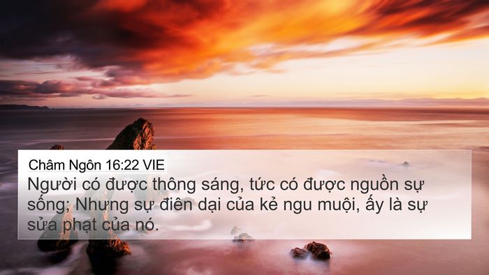 Châm Ngôn 16:22 VIE Bible Verse Image