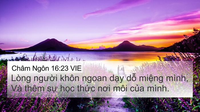 Châm Ngôn 16:23 VIE Bible Verse Image