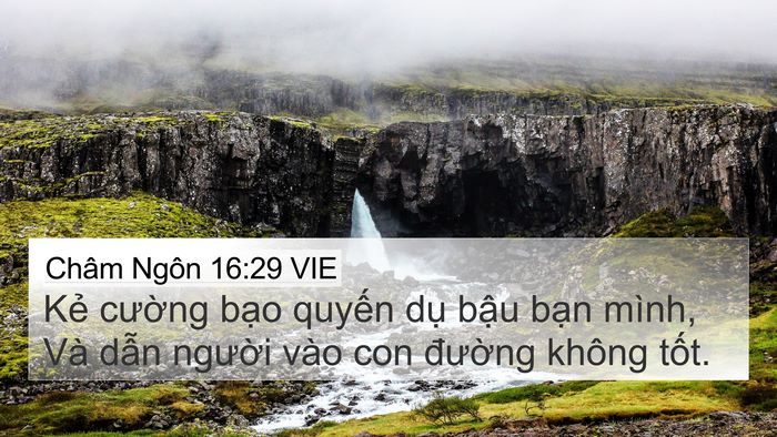 Châm Ngôn 16:29 VIE Bible Verse Image