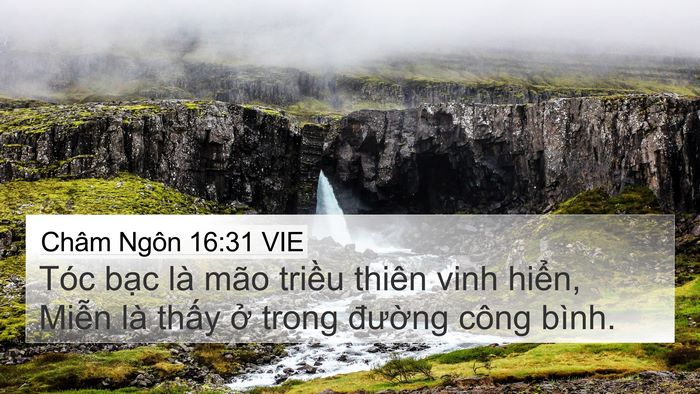 Châm Ngôn 16:31 VIE Bible Verse Image