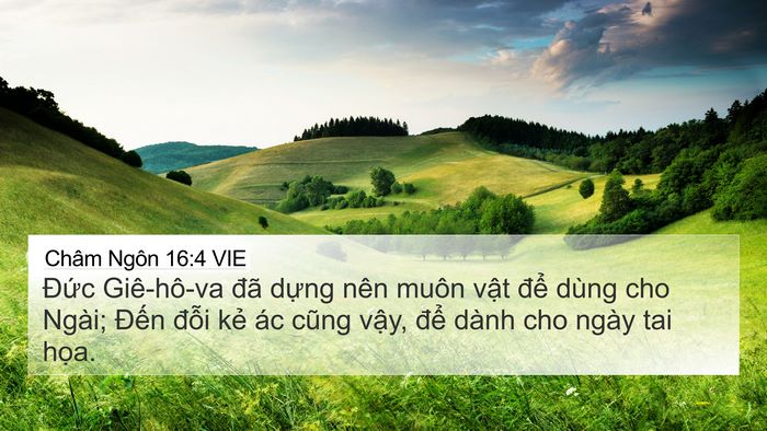 Châm Ngôn 16:4 VIE Bible Verse Image