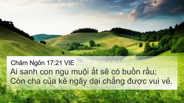 Châm Ngôn 17:21 VIE Bible Verse Image
