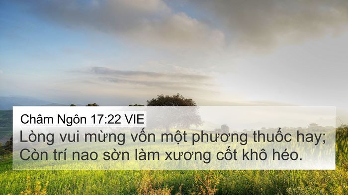 Châm Ngôn 17:22 VIE Bible Verse Image