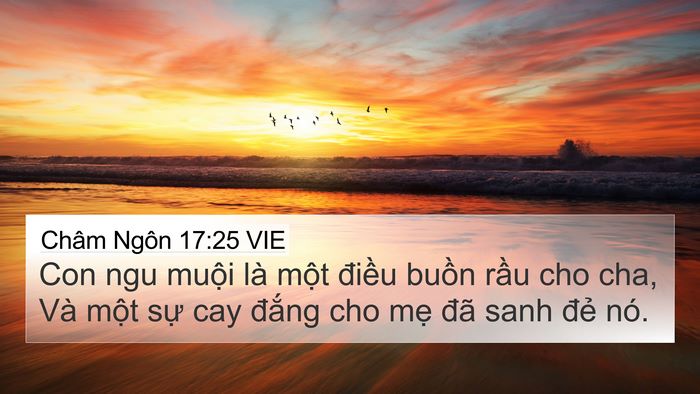 Châm Ngôn 17:25 VIE Bible Verse Image