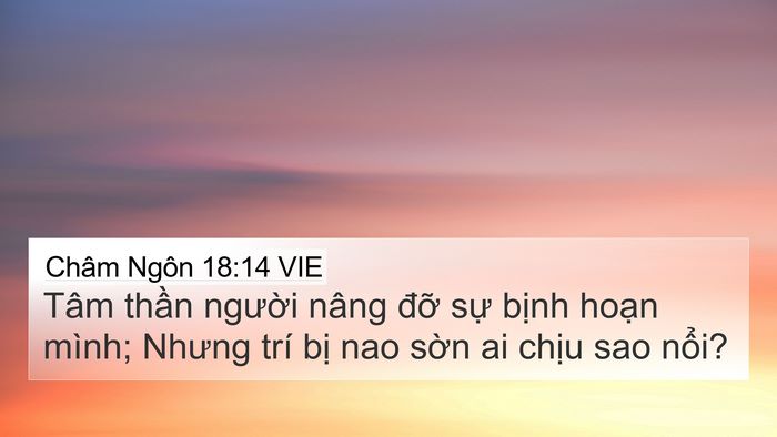 Châm Ngôn 18:14 VIE Bible Verse Image